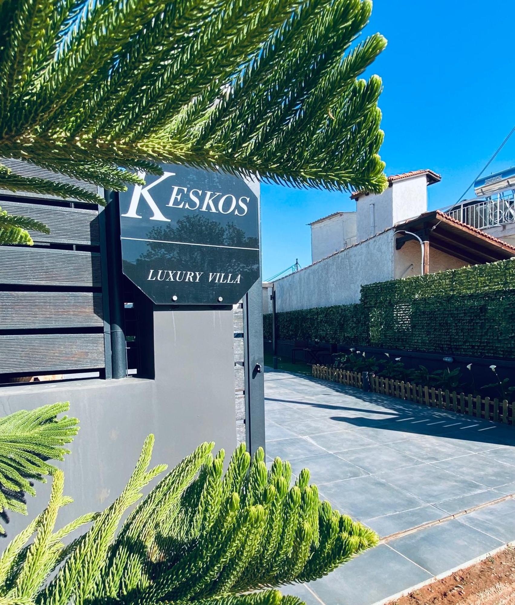 Keskos Luxury Villa أرتيميدا المظهر الخارجي الصورة